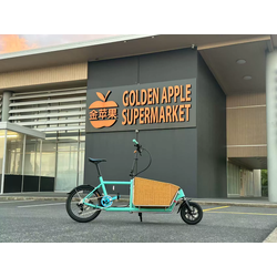 KAGU Mini Cargo Bike – All-Round Folding Bicycle with 8-Speed Gears, Hydraulic Disc Brakes & Front Basket