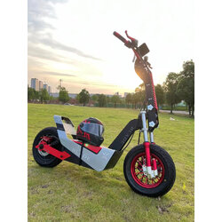 VICAN V-F8 ยางOFF-ROAD 13 นิ้ว Electric Scooter 4000W Dual Motor 70V
