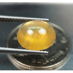 บุษราคัมอัฟริกาหลังเบี้ย 4.75 กะรัต (0068)