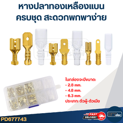 หางปลาทองเหลืองแบน [#7743] สำหรับช่างมืออาชีพ ครบชุด สะดวกพกพาง่าย