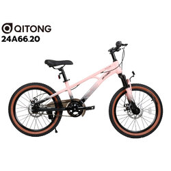จักรยานเสือภูเขาเด็ก QITONG รุ่น 24A66.20 ล้อ 20นิ้ว ไม่มีเกียร์ เฟรมเหล็ก NEW2024