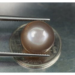 มูนสโตนหรือมุกดาหาร 7.32 กะรัตสีเทา