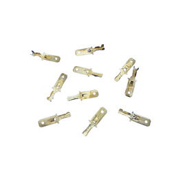 หางปลาทองเหลือง แบน 6.3mm. #ตัวผู้ (ห่อ=10ตัว)