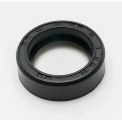 ซีลน้ำมัน 20X30X9MM เครื่องฉีดน้ำแรงดันสูง POLO โปโล FIGHTER225I [#47] Pn.P172-F225-047 (แท้) ##(*)