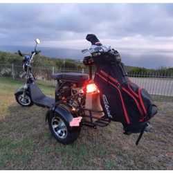 สามล้อ DUDI 3 Wheel CITYCOCO Electric Scooter electric motorcycle 2000w, TD-C9 With EEC plus แบตลิเที่ยม