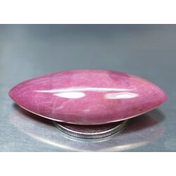 พลอยสะสมทับทิมแท้หลังเบี้ย 46.30 กะรัต (0187)