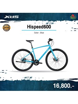 XDS GT350 FRAME X6 Gravel Bike - Adventure Gravel Bicycle