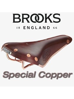 เบาะหนังรุ่นลิมิเต็ด Brooks England B17 Special Edition หนังแท้ รางทองแดง หมุดทองแดง Special Copper