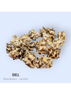 เปลือกหอย 100 กรัม #009