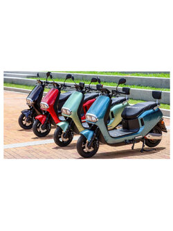 LUYUAN S30 PLUS ELECTRIC SCOOTER
