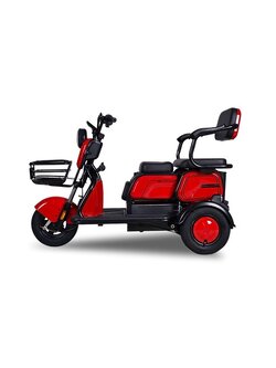 รถสกู๊ตเตอร์สามล้อไฟฟ้า Lion EV รุ่น LNE-X6 มอเตอร์ไฟฟ้า 600W แบตเตอรี่ 48V12AH