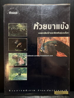 ห้วยขาแข้ง 'รวมสารคดี-ภาพ ป่าและสัตว์ป่าหายาก ที่เป็นมรดกสัตว์ป่าและพืชพันธุ์ของโลก'