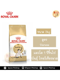 Royal Canin อาหารแมว โรยัล คานิน Siamese 38 แพ็คโรงงาน 2kg สำหรับ แมวไทยอายุตั้งแต่ 1 ปีขึ้นไป