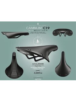 Brooks Cambium C19 All Weather