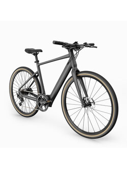 Fiido E-Gravel Step-Over C21 Electric Bike