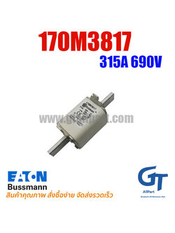 ฟิวส์เฉพาะทาง 170M3817 , 315A 690V , Bussmann / Eaton (โปรดติดต่อเพื่อสอบถามราคาพิเศษ)