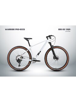 Mountain bike TWITTER WARRIOR PRO OX 13 Sp, electric gear EDS XO 13 sp, Full carbon frame, oil disc brakes, Shimano MT200 NEW 2024