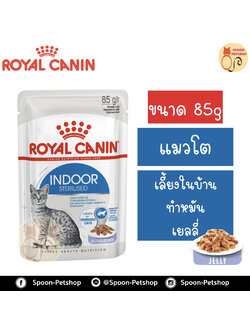 Royal Canin Indoor Sterilised Jelly อาหารแมว โรยัล คานิน แบบเปียก สำหรับแมวโต 1-10 ปี เลี้ยงในบ้าน ที่ทำหมันแล้ว ในเยลลี่