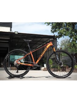 RICHTER mountain bike, model T90, gear LTWOO AX 13, TOP frame, aluminum 2022