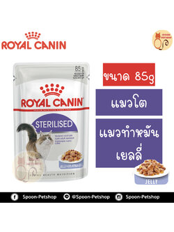 Royal Canin Sterilised Jelly อาหารแมว โรยัล คานิน แบบเปียก สำหรับแมวโต 1-10 ปี ที่ทำหมันแล้ว ในเยลลี่