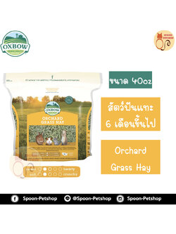 Oxbow Orchard Hay หญ้า อ็อกซ์โบว์ ออชาร์ด สำหรับสัตว์ฟันแทะ กระต่าย กระรอก หนูแฮมสเตอร์ หนูแกสบี้ อายุตั้งแต่ 6 เดือนขึ้นไป ขนาด 40Oz
