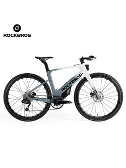 ROCKBROS FTR E-BIKE – Carbon Electric Bike 13.8kg | 250W Motor | LG Battery | 150km Range | L-TWOO 11-Speed
