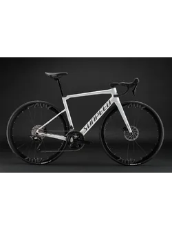 2024 New Invincible Expert Carbon Frame Road Bike with Shimano 105 R7120 2x12 Speed