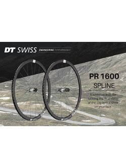 DT Swiss PR 1600 Spline 23 Road Wheels (4450/52)