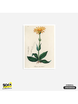 ภาพตกแต่งบ้านสำเร็จรูป Dahlberg Daisy VMA00026 #SOdAcollection #ภาพตกแต่งบ้านสไตล์มินิมอล #มินิมอล #MINIMAL