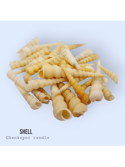 เปลือกหอย 100 กรัม #011