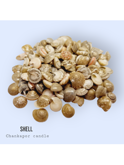 เปลือกหอย 100 กรัม #005