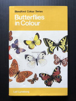 Butterflies in Colour.