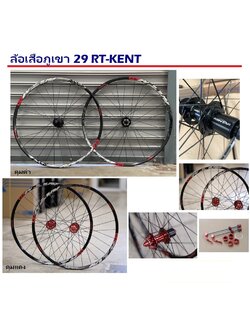 ชุดล้อเสือภูเขา RoTon RT KENT 29ER ดุมลูกปืนแบร์ริ่ง 7-11 สปีด