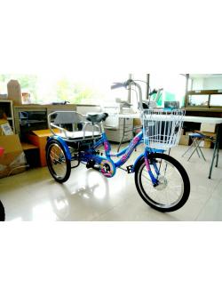 จักรยานสามล้อไฟฟ้า MEADOW CITY รุ่น I-LYNX ล้อ 20 นิ้วว พร้อมตะกร้าหน้า