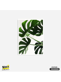 ภาพตกแต่งบ้านสำเร็จรูป Monstera Leaves มอนสเตอร่า VNA00009 #SOdAcollection #ภาพตกแต่งบ้านสไตล์ธรรมชาติ #ธรรมชาติ #NATURE