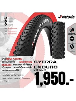VITTORIA SYERRA DOWN-COUNTRY 29x2.4