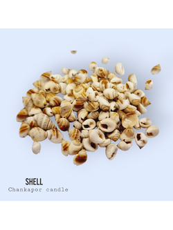 เปลือกหอย 100 กรัม #003