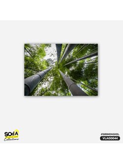 ภาพตกแต่งบ้านสำเร็จรูป Forest VLA00044 #SOdAcollection #ภาพตกแต่งบ้านสไตล์มงคล #ภาพมงคล #สิริมงคล #SIRIMONGKOL #FORTUNE