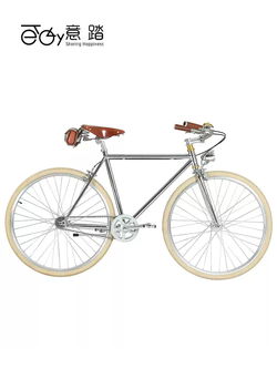 จักรยาน ETALY ET01 รุ่นย้อนยุค ผู้หญิง เกียร์เดี่ยว โครงคาร์บอน สีเงินโครเมียม | น้ำหนักเบา