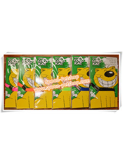 ชุดปลอกคอ พร้อมสายจูง Cocokat