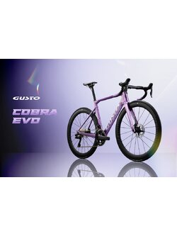 จักรยานเสือหมอบ GUSTO COBRA EVO DB PRO ครบทุกรุ่น เฟรมคาร์บอน NEW2025