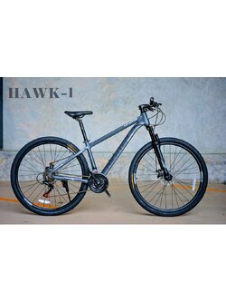 RICHTER HAWK mountain bike, 29-inch wheels, aluminum frame, no welding, hidden cables, Shimano Tourney 21sp NEW2025 drive system