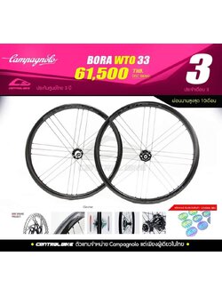 CAMPAGNOLO BORA WTO 33 DISC Center Lock 28" Wheelset Carbon Wheelset