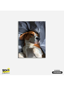 ภาพตกแต่งบ้านสำเร็จรูป Beagle Dog VPA00003 #SOdAcollection #ภาพตกแต่งบ้านสไตล์สัตว์ #สัตว์ #สัตว์เลี้ยง #ANIMAL
