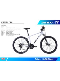 จักรยานเสือภูเขา Giant Rincon 29 2,เฟรมอลู XX, DISC-brake 21 สปีด, GIANT MY2022