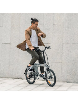 Fiido D11 Folding E-bike 2025 – 250W Electric Bike | 417.6Wh Battery | Hydraulic Disc Brakes | 7-Speed Shimano