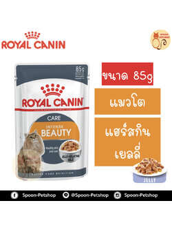 Royal Canin Beauty Jelly อาหารแมว โรยัล คานิน แบบเปียก สำหรับแมวโต 1-10 ปี ที่ต้องการบำรุงขน ในเยลลี่