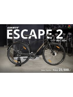 จักรยาน GIANT ESCAPE 2 CITY DISC 2x8สปีด ดิสน้ำมัน พร้อมตะแกรงท้ายและบังโคลน, Giant NEW 2024