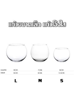 แก้วโอ่งใส ขนาด S / M / L