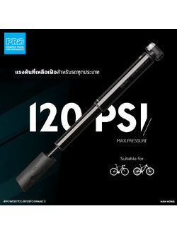 PRO Performance XS mini pump MY21 aluminium black AV/SV